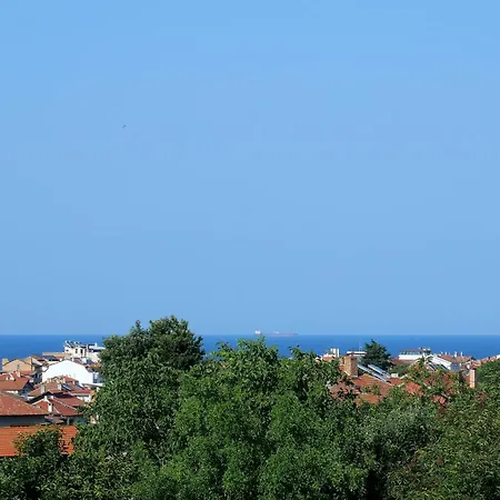 ели * Czernomorec